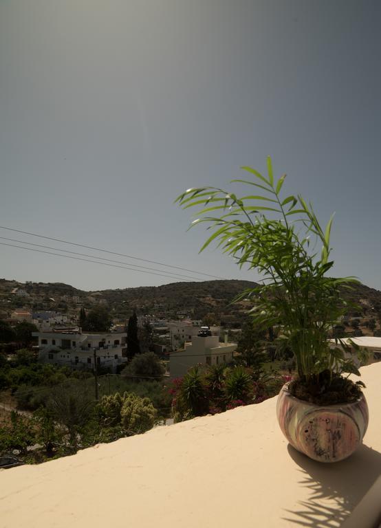 Bodikos Villas & Apartments ピツイディア エクステリア 写真